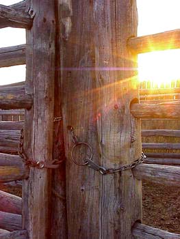 Corral gates at sunset