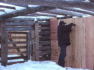 New calving shed