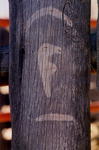 Main Ranch Brand