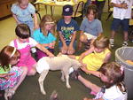 Lamb in school