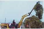 Digging up hay