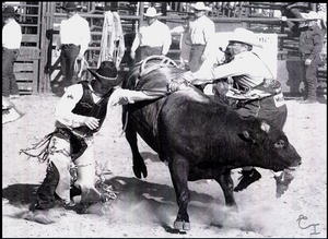 Pro Bull Fighter