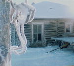 Frosty Hay Hooks